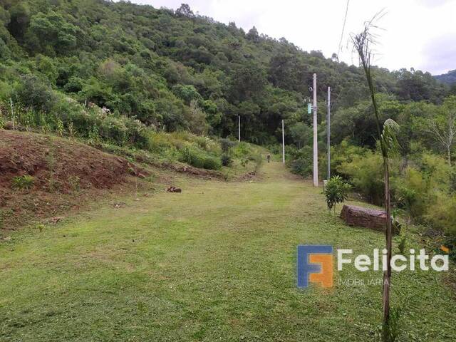 Chácara para Venda em Caxias do Sul - 5