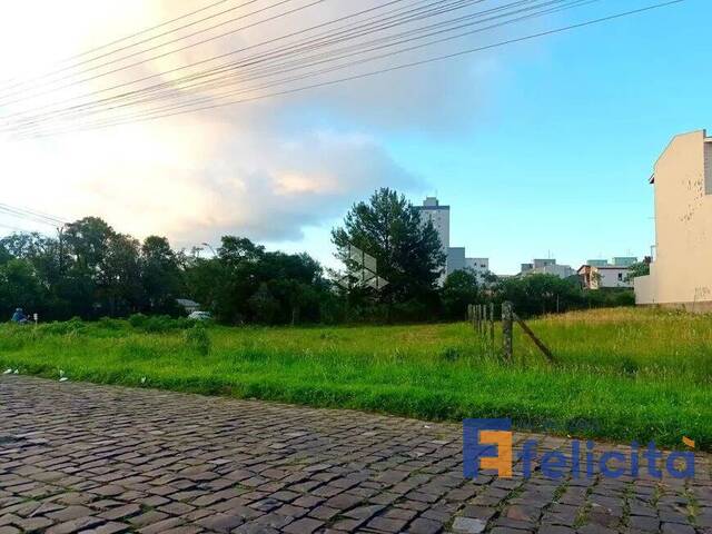 Venda em Nossa Senhora de Fátima - Caxias do Sul