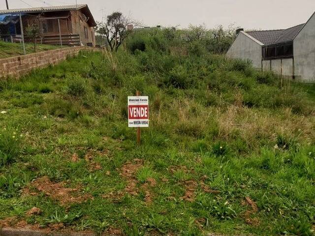 Terreno para Venda em Caxias do Sul - 4