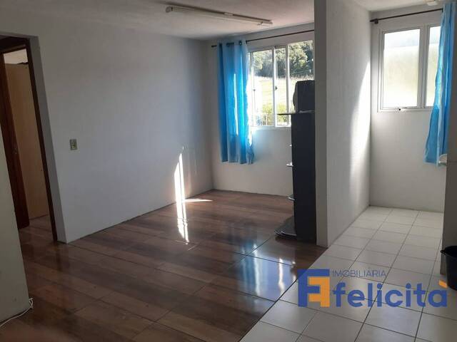 Apartamento para Locação em Caxias do Sul - 3