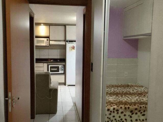 Apartamento para Venda em Caxias do Sul - 5