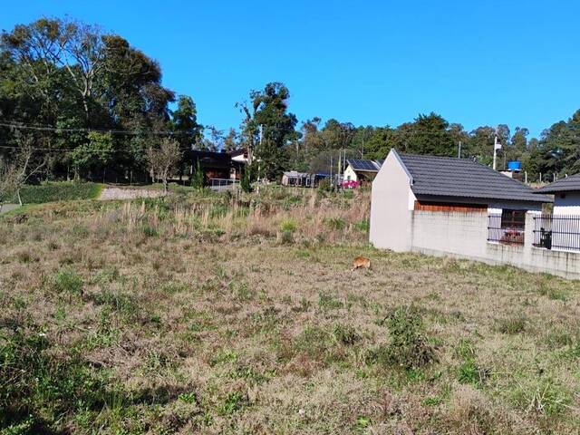 Área para Venda em Caxias do Sul - 3