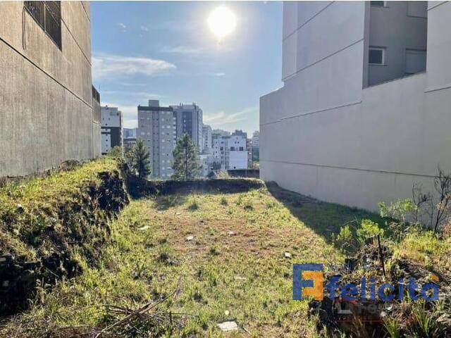 Área para Venda em Caxias do Sul - 2