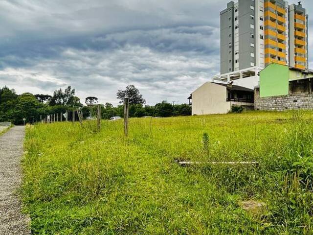 Área para Venda em Caxias do Sul - 2