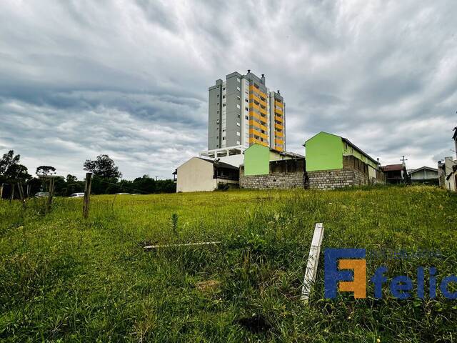 Área para Venda em Caxias do Sul - 3