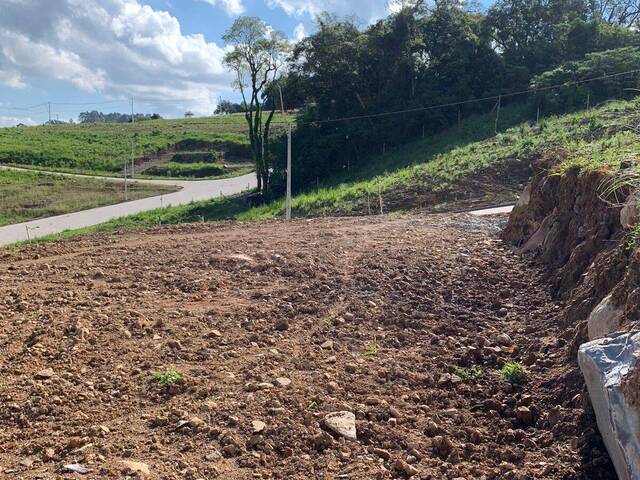 #1924 - Área para Venda em Caxias do Sul - RS