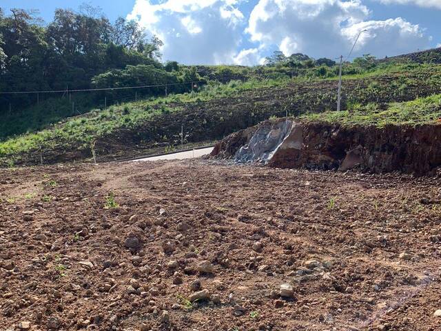 Área para Venda em Caxias do Sul - 5