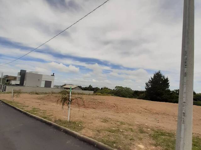 Área para Venda em Caxias do Sul - 4