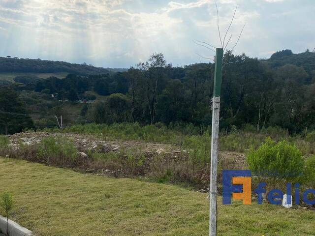 #3158 - Área para Venda em Caxias do Sul - RS