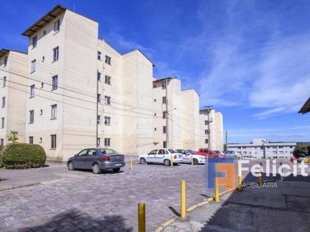 Apartamento para Venda em Caxias do Sul - 1