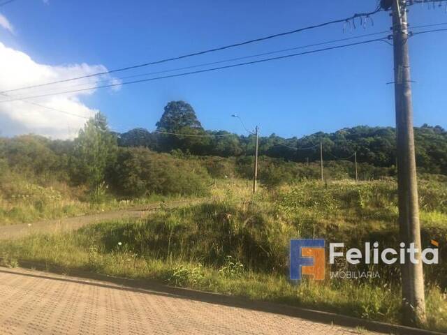 Lote para Venda em Caxias do Sul - 2