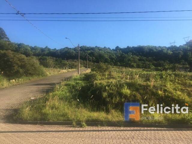 Lote para Venda em Caxias do Sul - 3