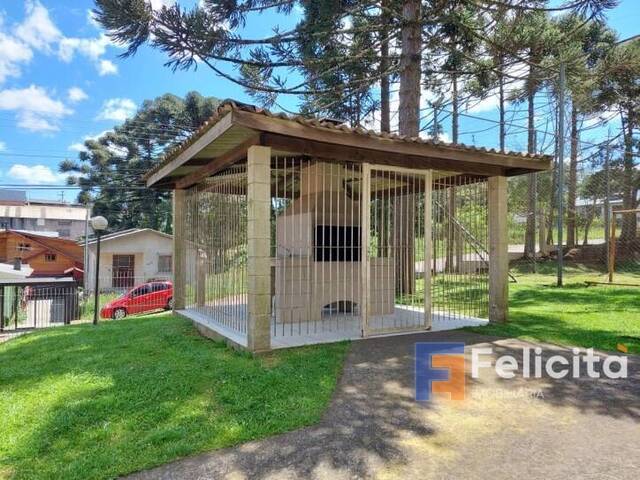 Apartamento para Venda em Caxias do Sul - 3